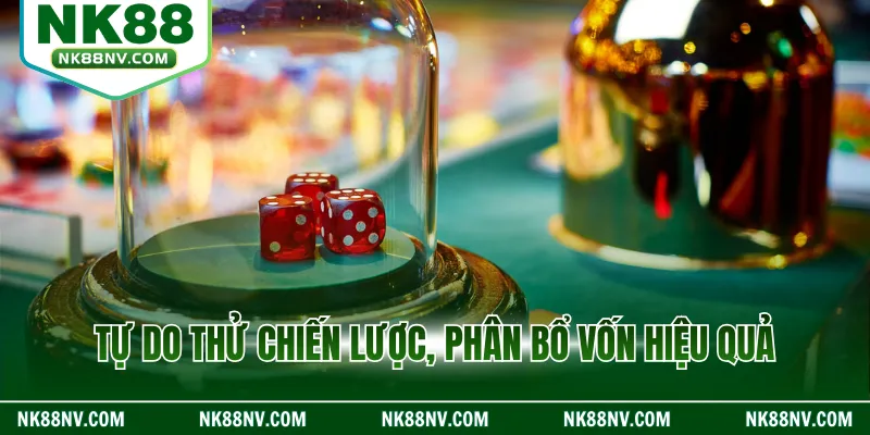 Tự do thử chiến lược, phân bổ vốn hiệu quả